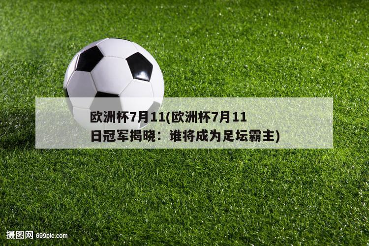 欧洲杯7月11(欧洲杯7月11日冠军揭晓：谁将成为足坛霸主)