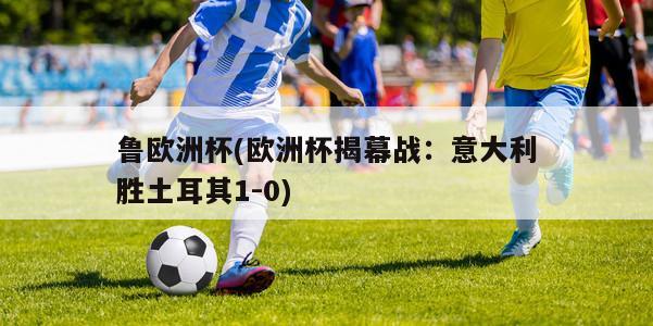 鲁欧洲杯(欧洲杯揭幕战：意大利胜土耳其1-0)