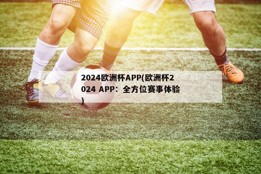 2024欧洲杯APP(欧洲杯2024 APP：全方位赛事体验)