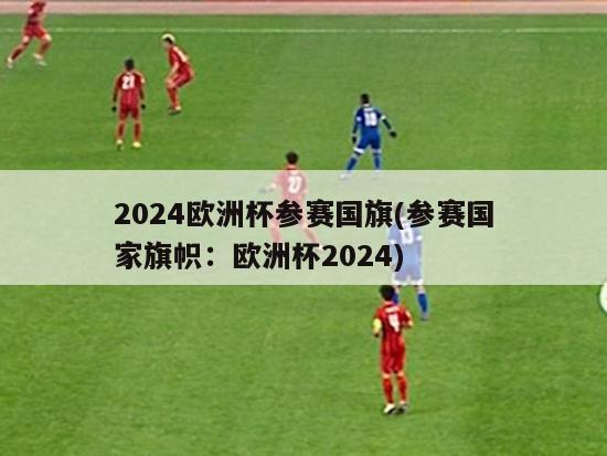 2024欧洲杯参赛国旗(参赛国家旗帜：欧洲杯2024)