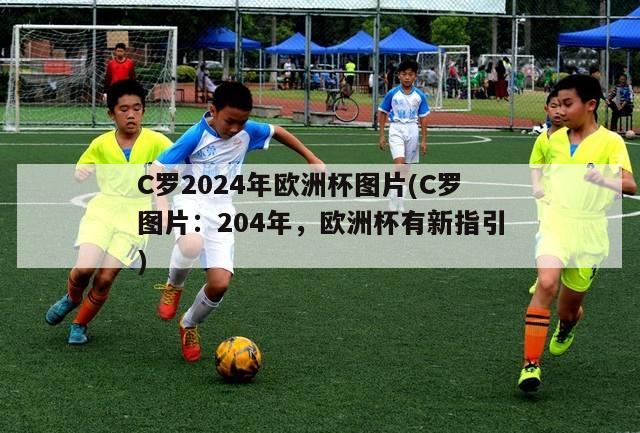 C罗2024年欧洲杯图片(C罗图片：204年，欧洲杯有新指引)