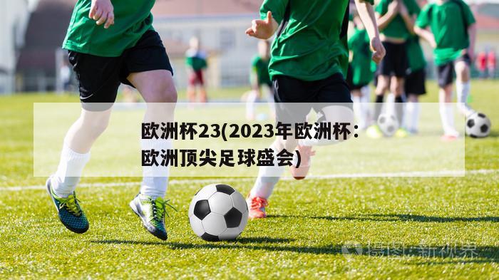 欧洲杯23(2023年欧洲杯：欧洲顶尖足球盛会)