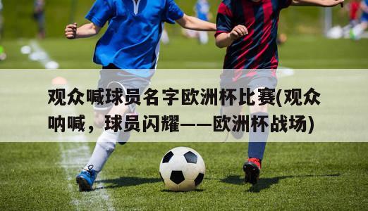 观众喊球员名字欧洲杯比赛(观众呐喊，球员闪耀——欧洲杯战场)