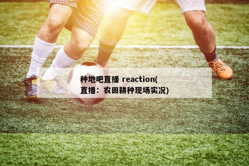 种地吧直播 reaction(直播：农田耕种现场实况)